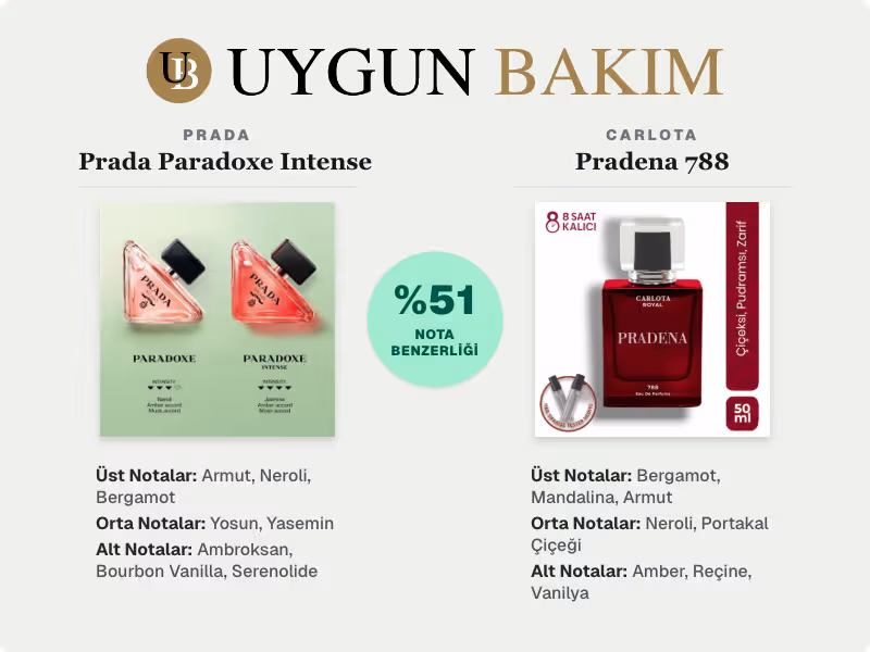 Prada Prada Paradoxe Intense | Carlota Pradena 788 Muadili