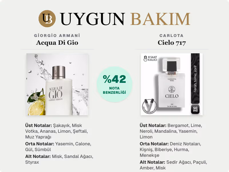 Giorgio Armani Acqua Di Gio | Carlota Cielo 717 Muadili