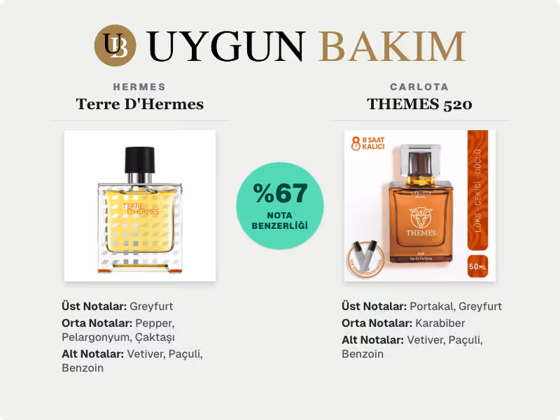 Hermes Terre D'Hermes | Carlota THEMES 520 Muadili