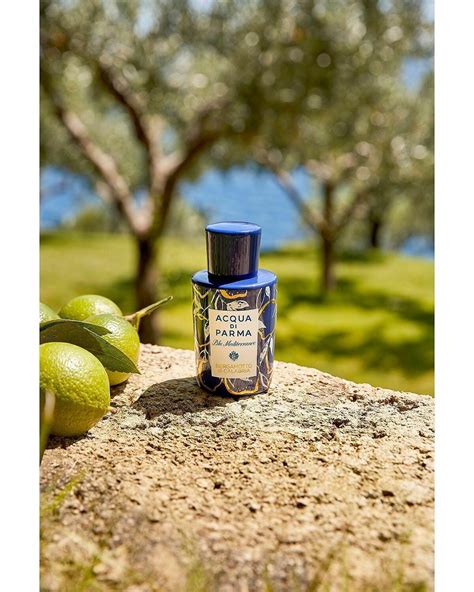 Bergamotto Di Calabria La Spugnatura