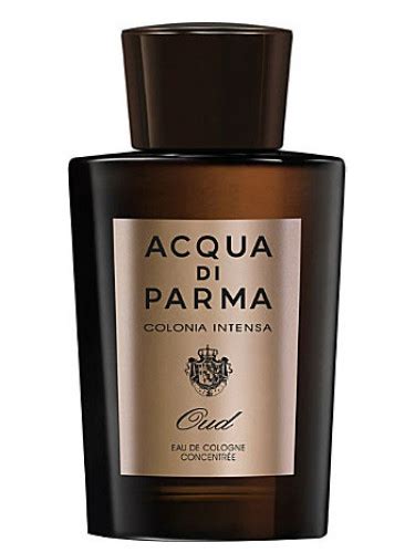 Colonia Intensa Oud Eau De Cologne Concentree
