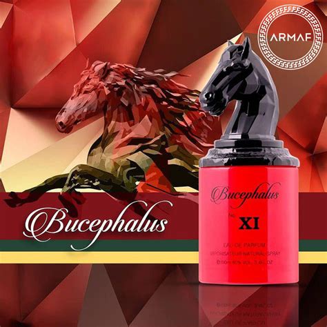 Bucephalus Xi