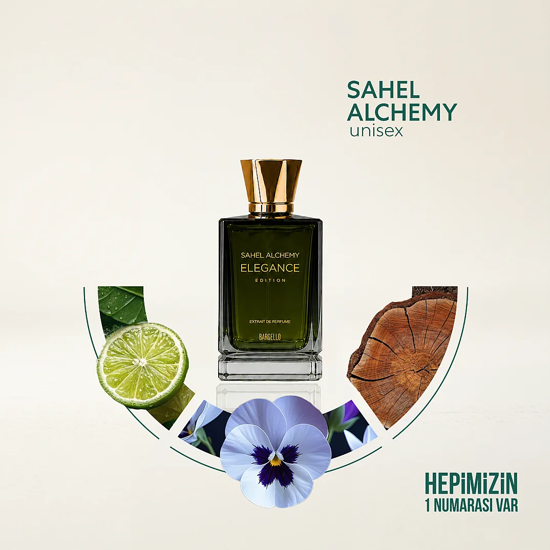 Bargello Niche Elegance Sahel Alchemy