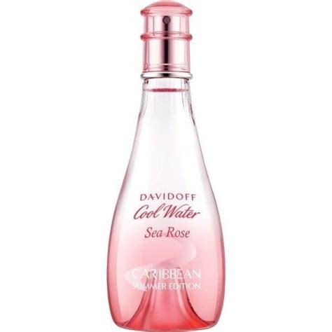 Cool Water Sea Rose Summer Seas