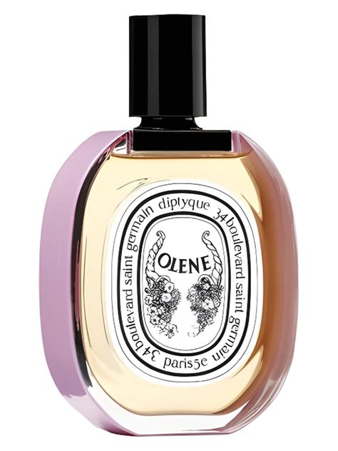 Impossible Bouquet Olene