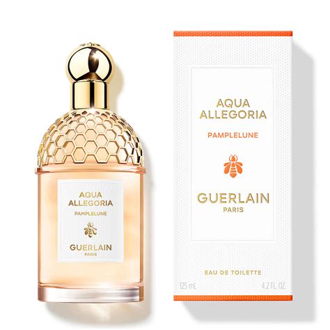 Aqua Allegoria Pamplelune