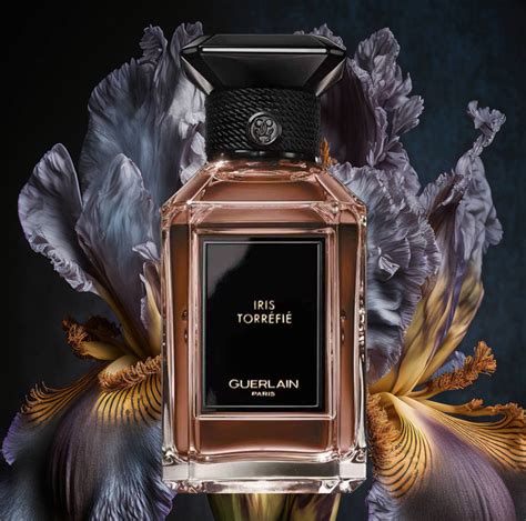 Iris Torrefie