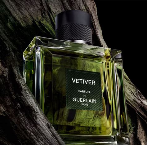 Vetiver