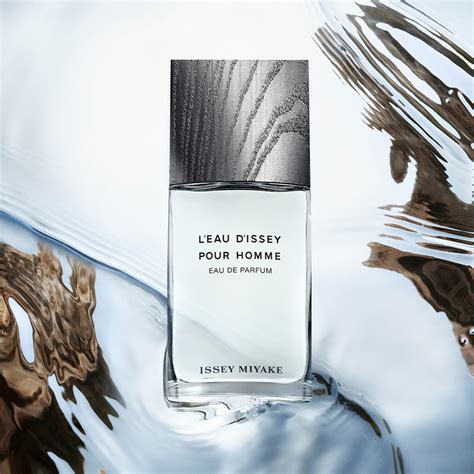 L Eau D Issey Pour Homme