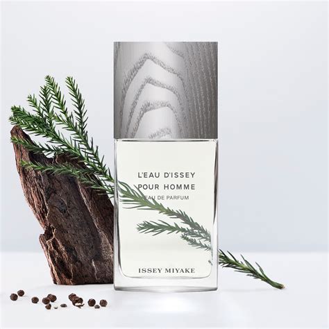 L Eau D Issey Pour Homme Eau D Ete 2011