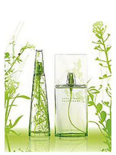 L Eau D Issey Summer 2007 Homme
