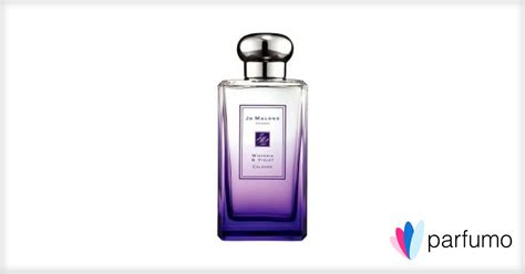 London Rain Wisteria Violet