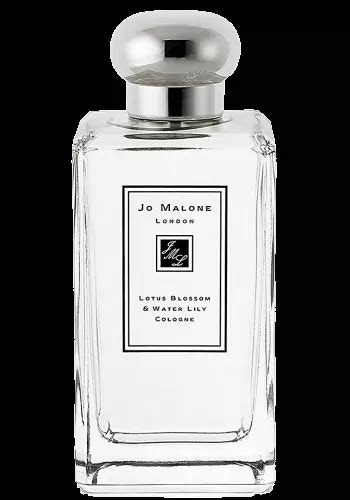 Lotus Blossom Water Lily