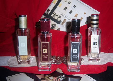 Rock The Ages Tudor Rose Amber