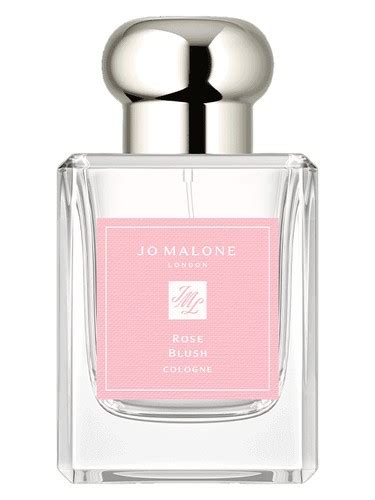 Rose Blush Cologne 2023