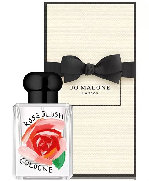Rose Blush Cologne 2024