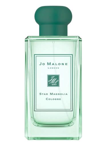 Star Magnolia Cologne 2019