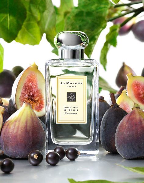 Wild Fig Cassis