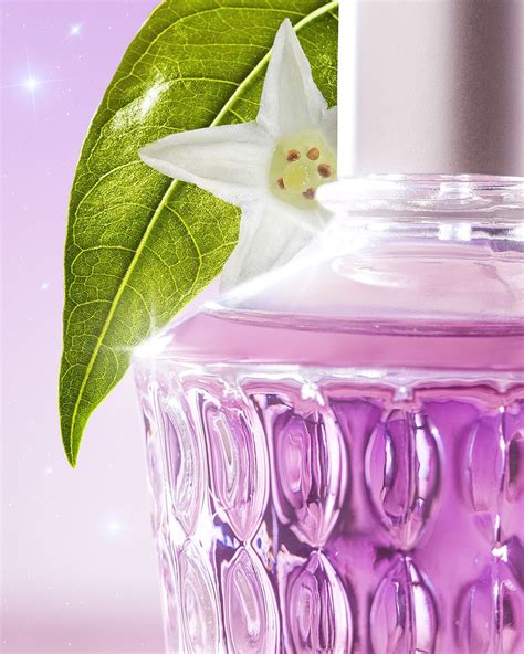 Dama Da Noite Estrelada