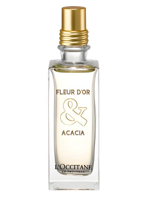 Fleur D Or Acacia