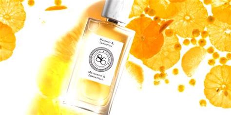Mandarine Immortelle
