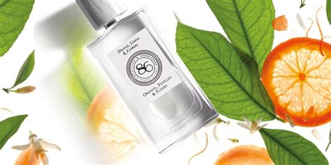 Orange Feuilles Et Fleurs