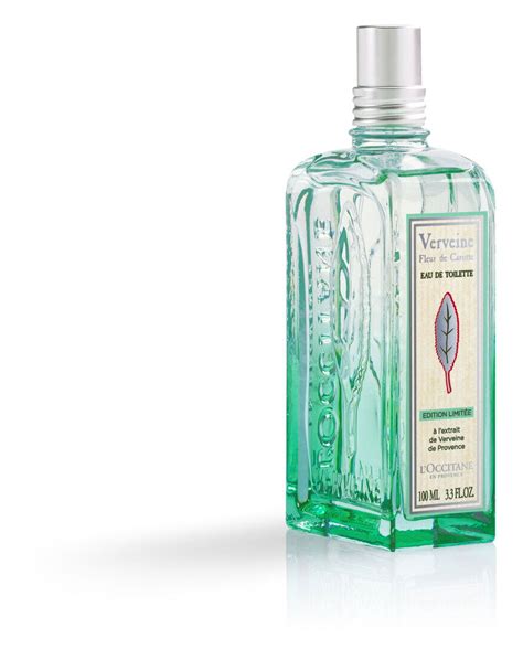 Verveine Fleur De Carotte