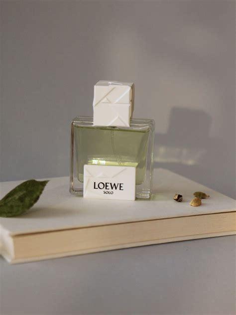 Solo Loewe Origami