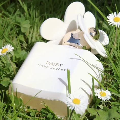 Daisy 10Th Anniversary Edition