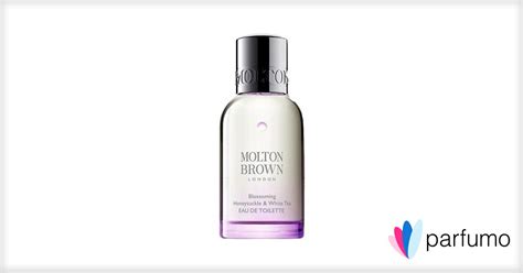 Blossoming Honeysuckle White Tea