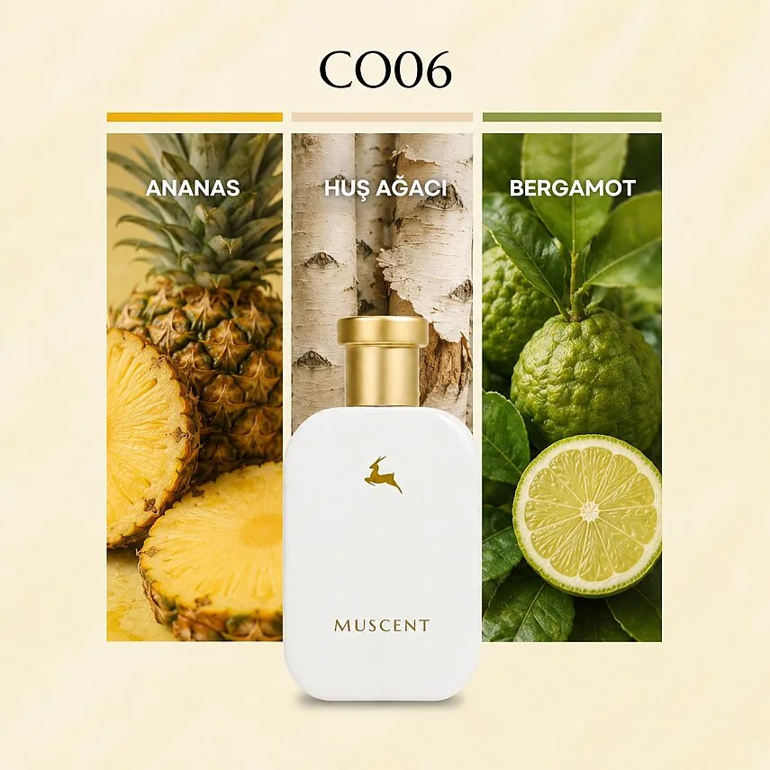 Muscent C006 Avntus özel