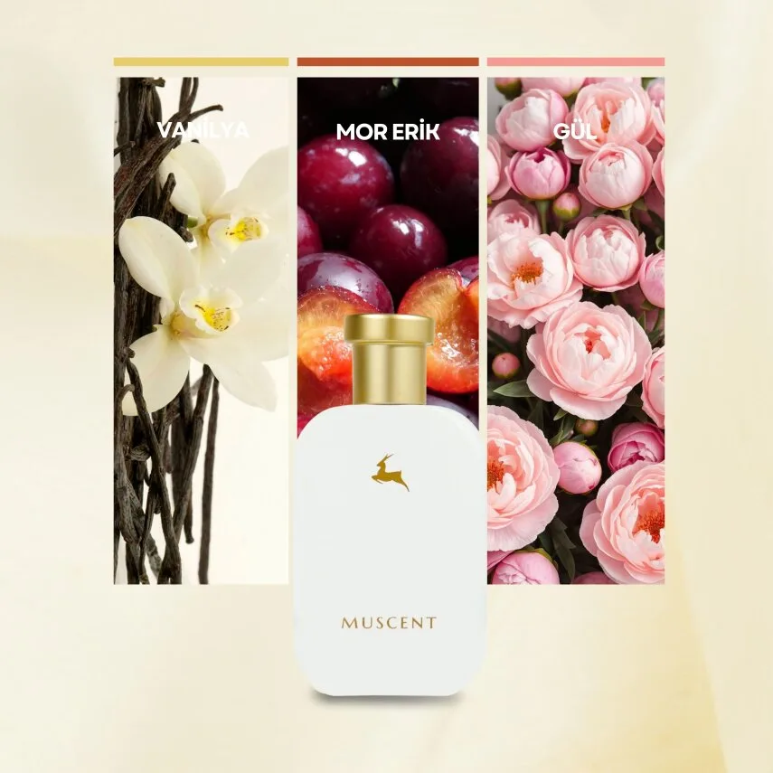 Muscent C046 Musk N Rose