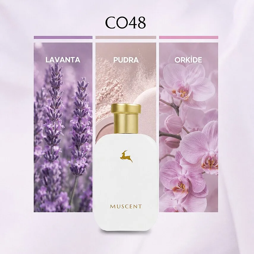 Muscent C048 PureSatinWhite