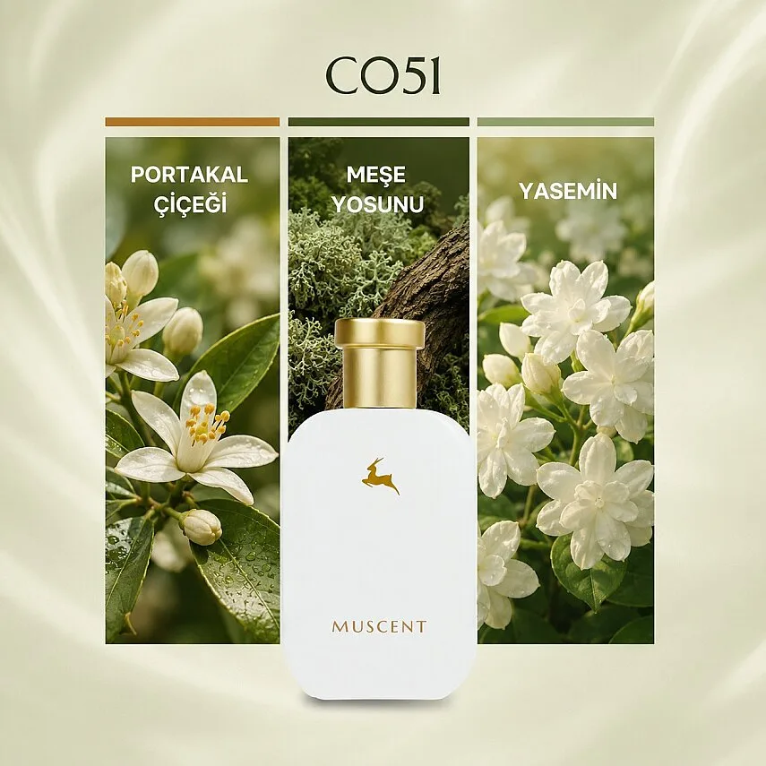 Muscent C051 Sohoo