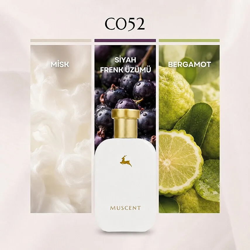 Muscent C052 MTherapy