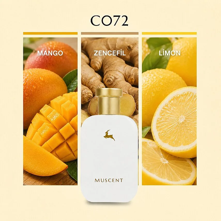 Muscent C072 Good On Fire
