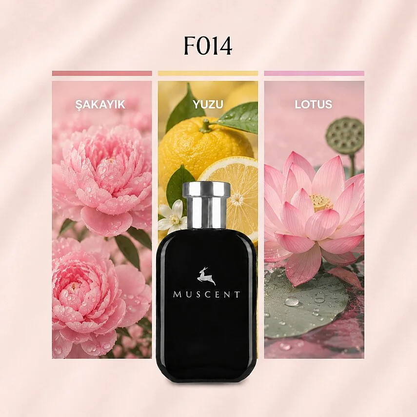 Muscent F014 B Cristal