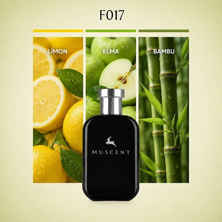 Muscent F017 LBlue W