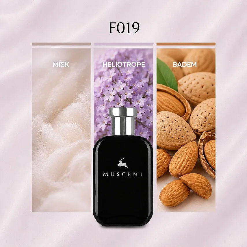 Muscent F019 Shee