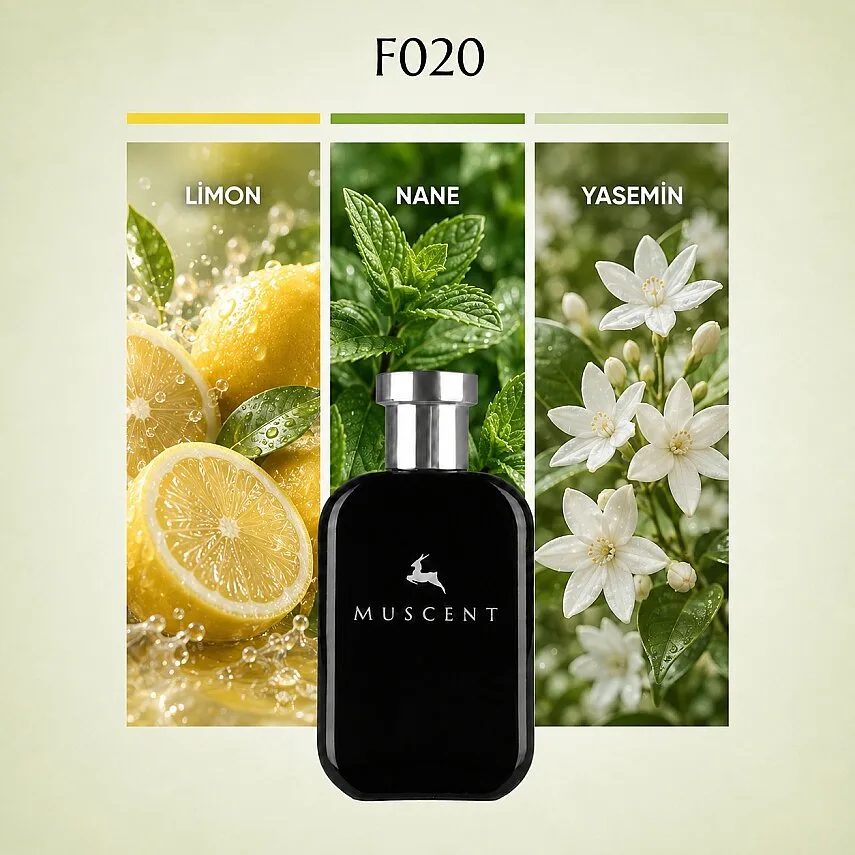 Muscent F020 Gioia