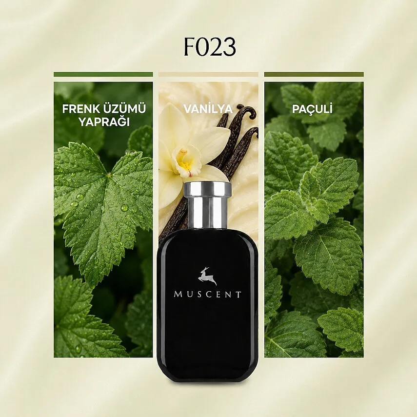 Muscent F023 Sii