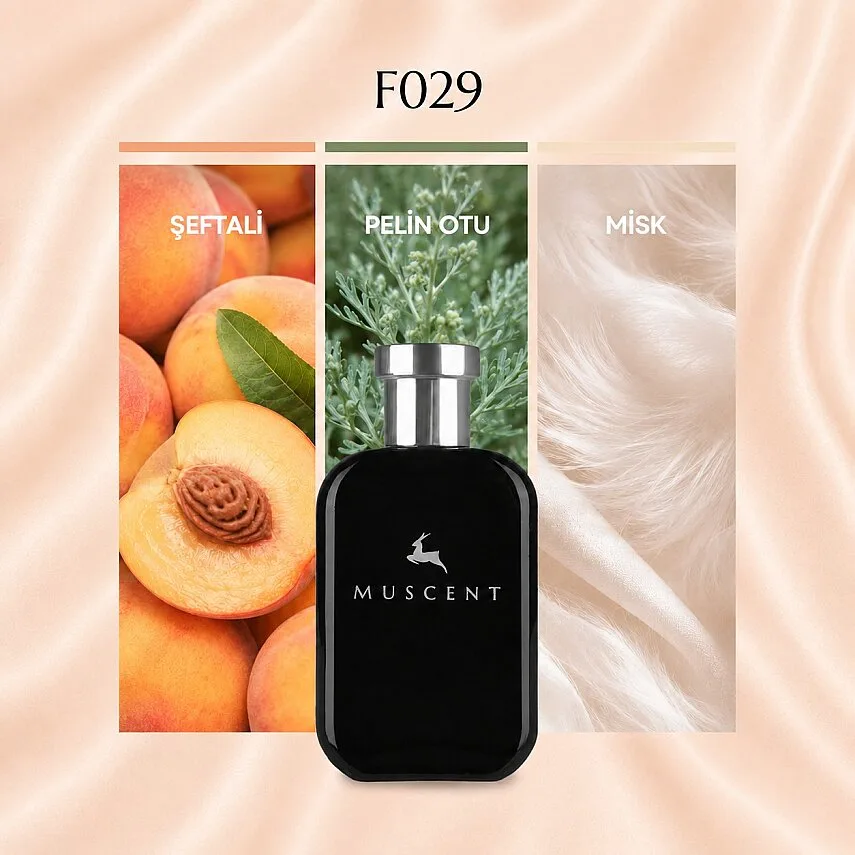 Muscent F029 BBody