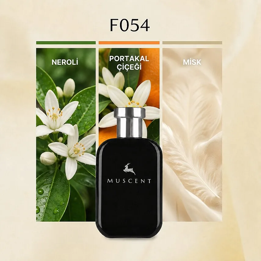 Muscent F054 CLStory