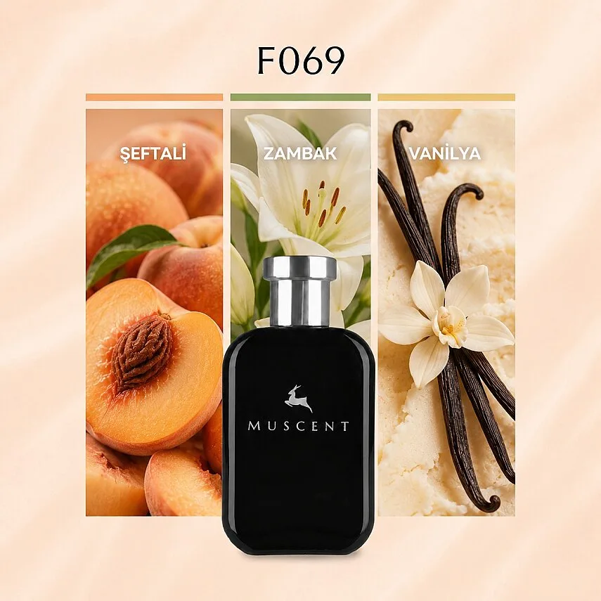 Muscent F069 T One W