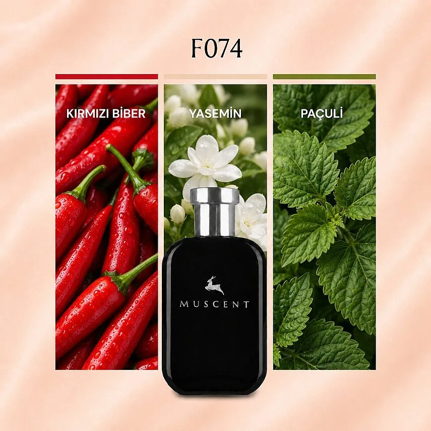 Muscent F074 AbsIrresistible