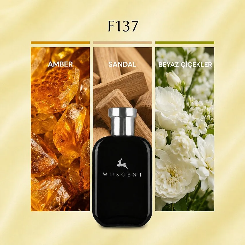 Muscent F137 Sxy Amber