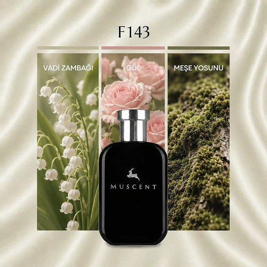 Muscent F143 Evidance