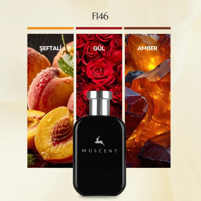 Muscent F146 My Black