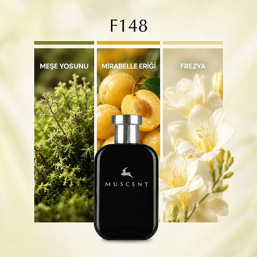 Muscent F148 CNomade