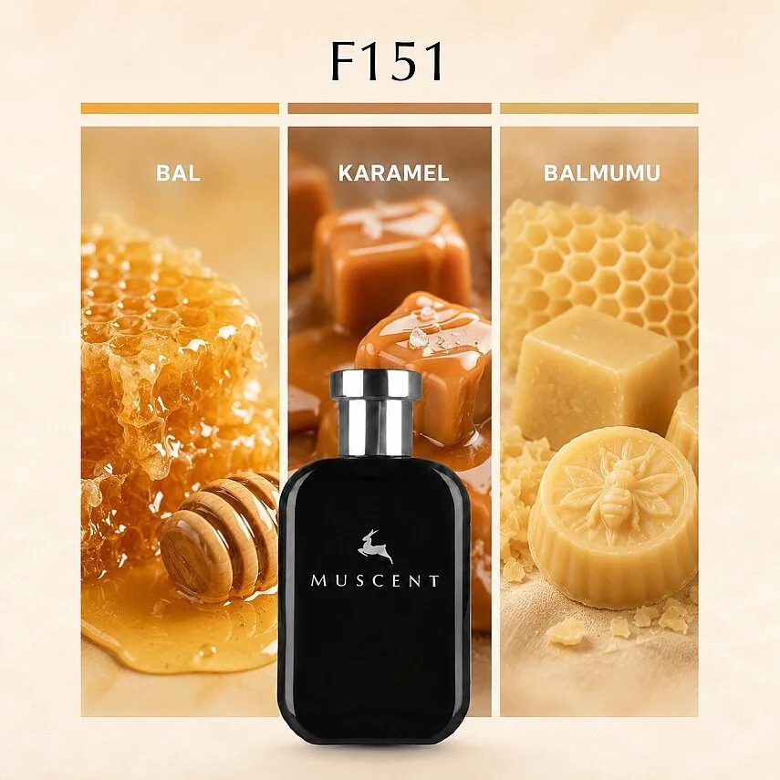 Muscent F151 Skandal W